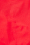 Red Bikini - Red Fabric